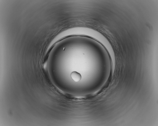 X0000115830419200911131509