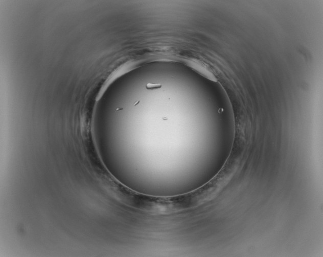 X0000115830420200911131509