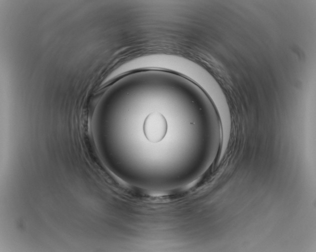 X0000115830421200911131509