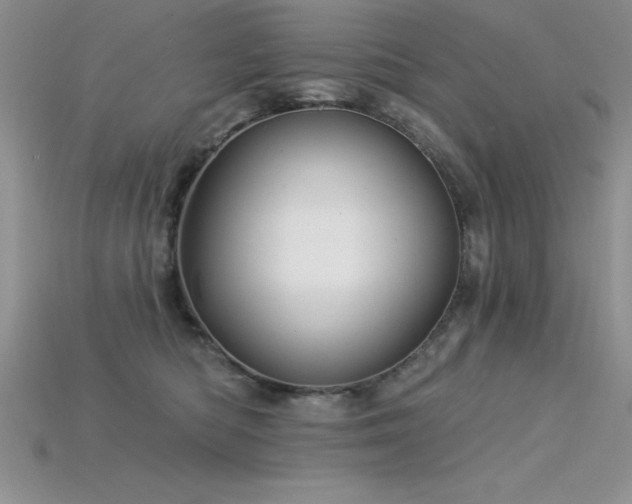 X0000115830422200911131509