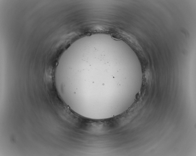 X0000115830423200911131509