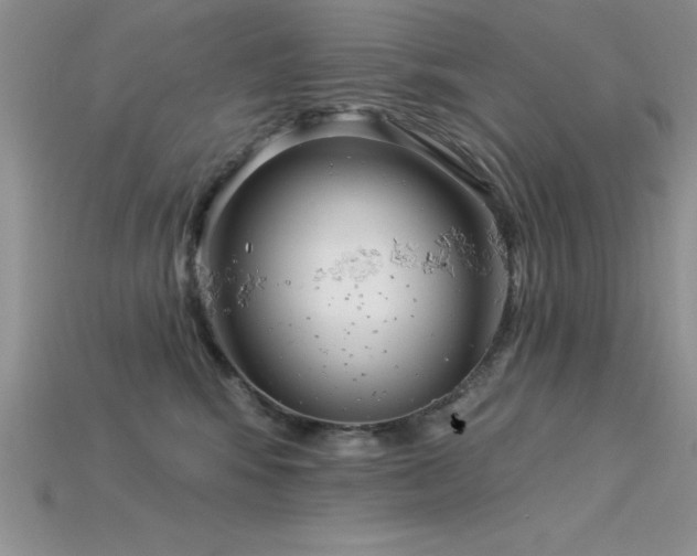 X0000115830424200911131509