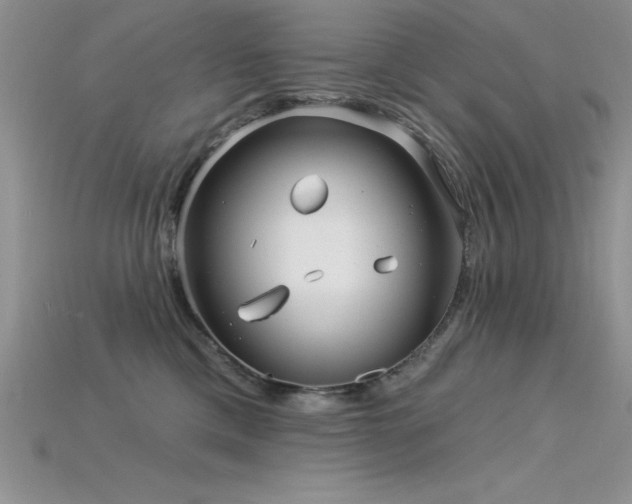 X0000115830425200911131509