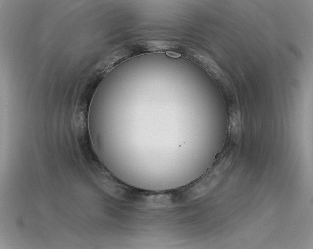 X0000115830426200911131509