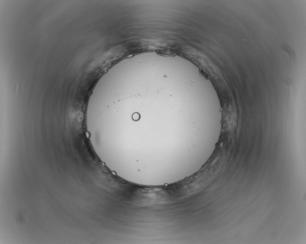 X0000115830427200911131509