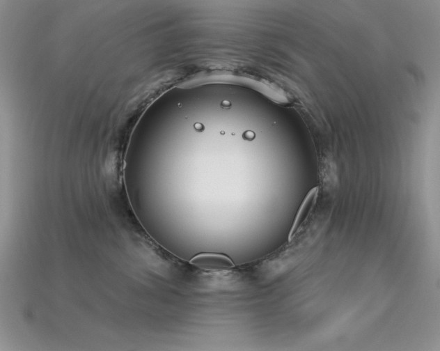 X0000115830428200911131509