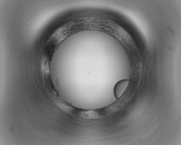 X0000115830431200911131509