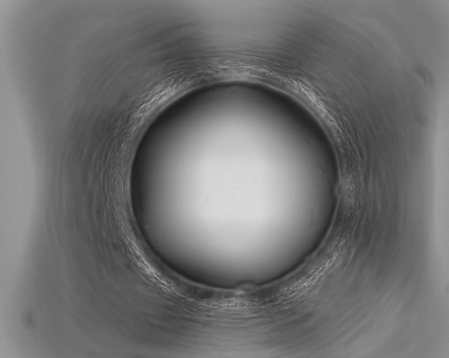 X0000115830433200911131509