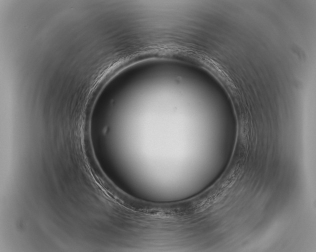 X0000115830434200911131509