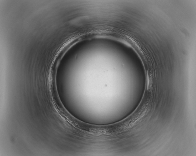 X0000115830435200911131509