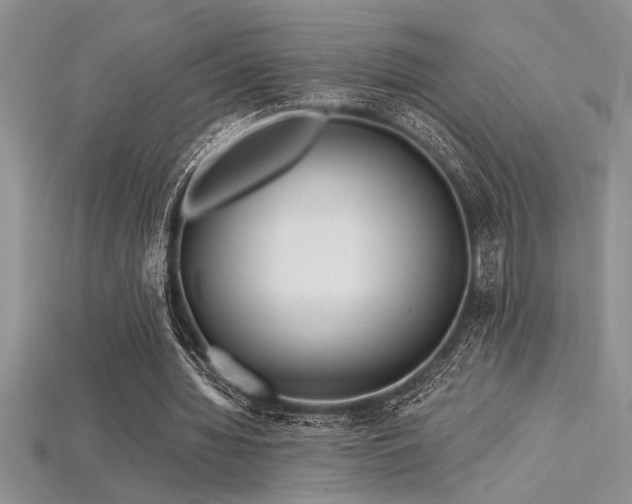 X0000115830436200911131509