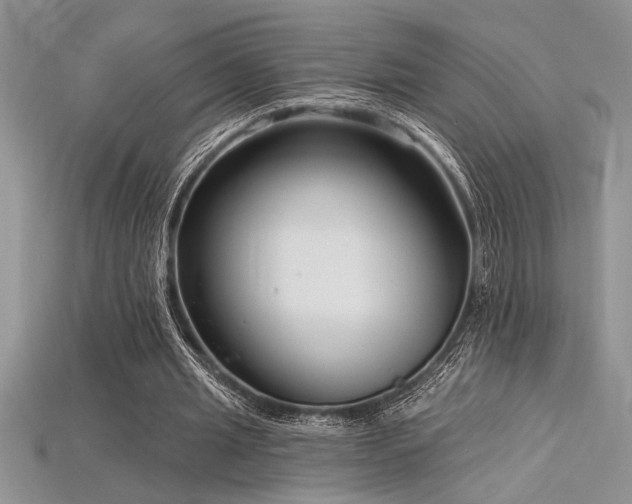 X0000115830437200911131509