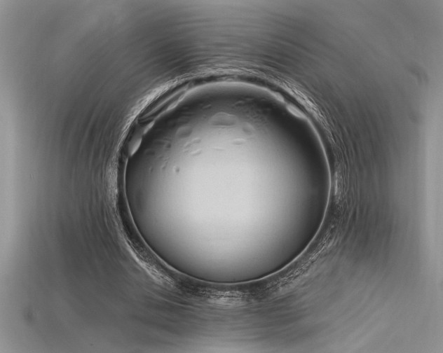 X0000115830438200911131509