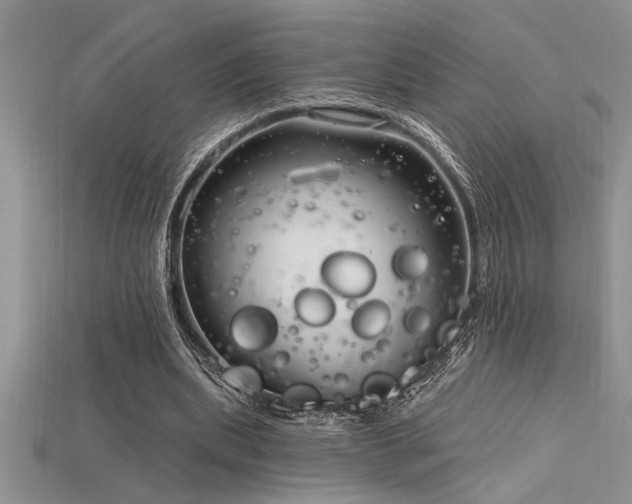 X0000115830439200911131509