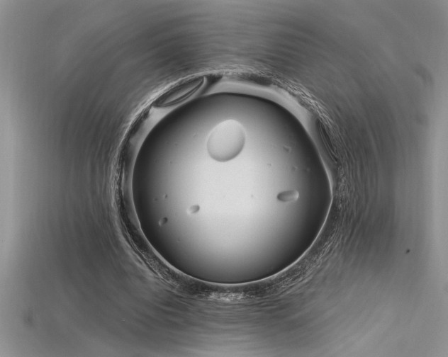 X0000115830440200911131509