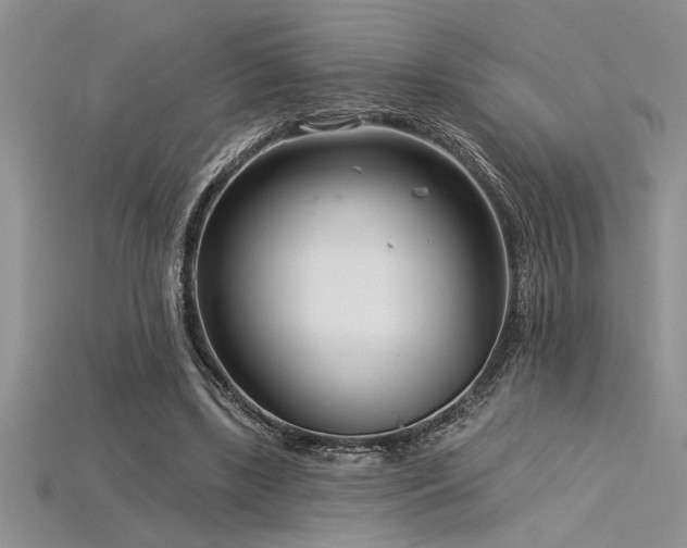 X0000115830443200911131509