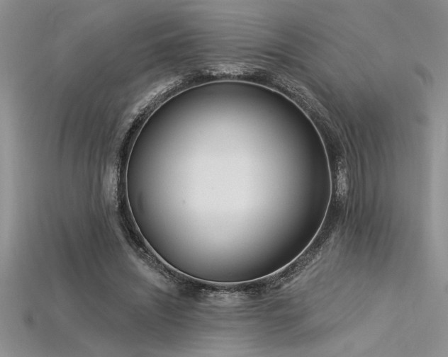 X0000115830444200911131509