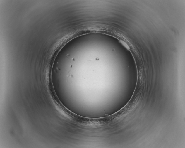 X0000115830445200911131509