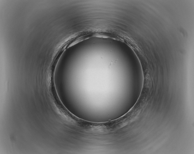 X0000115830446200911131509