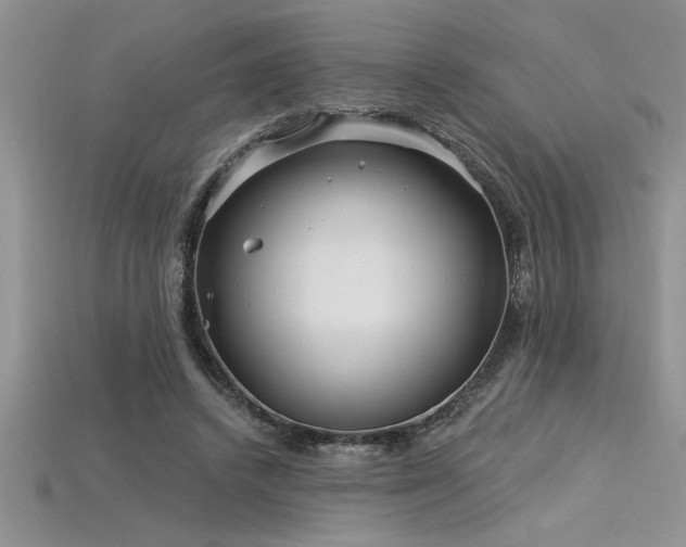 X0000115830448200911131509