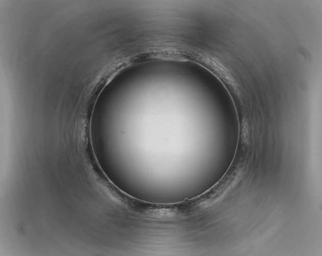 X0000115830449200911131509