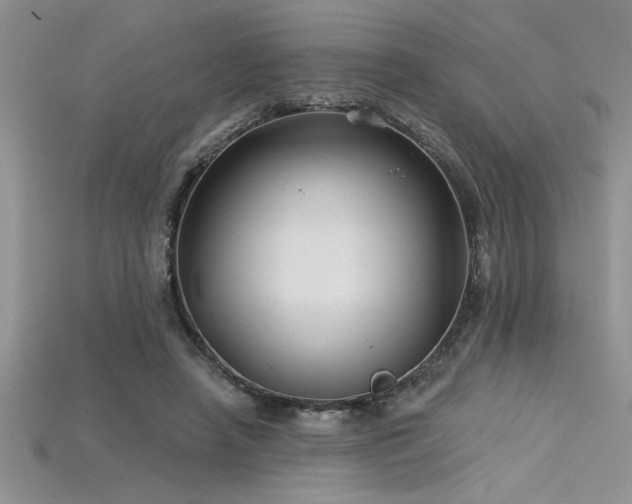 X0000115830450200911131509