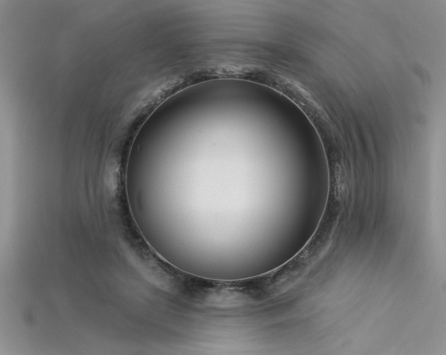 X0000115830451200911131509