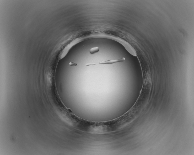 X0000115830452200911131509