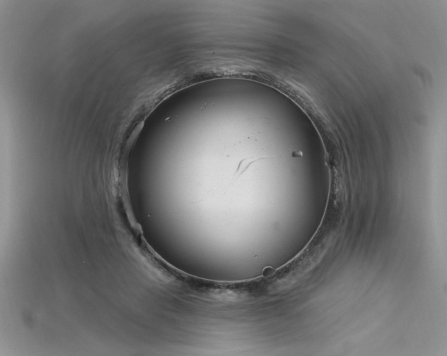 X0000115830453200911131509