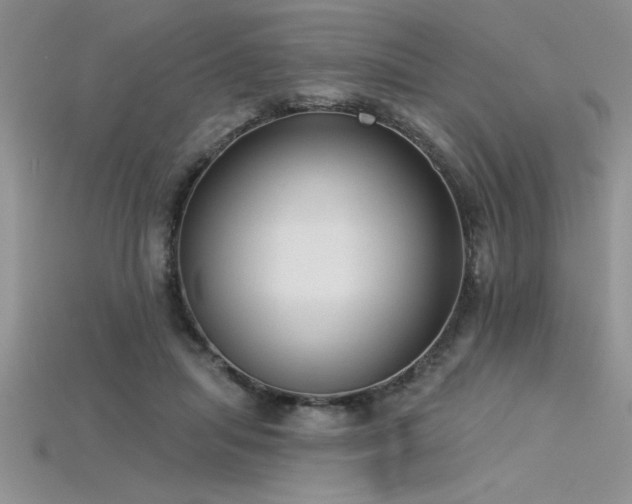 X0000115830455200911131509