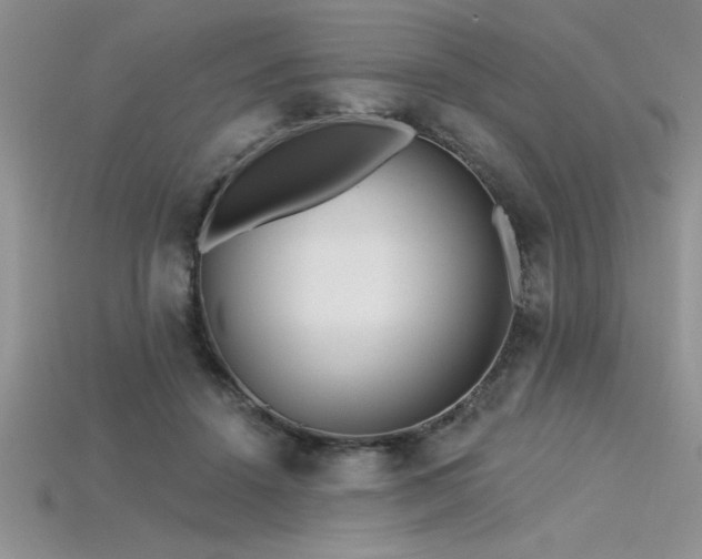 X0000115830456200911131509