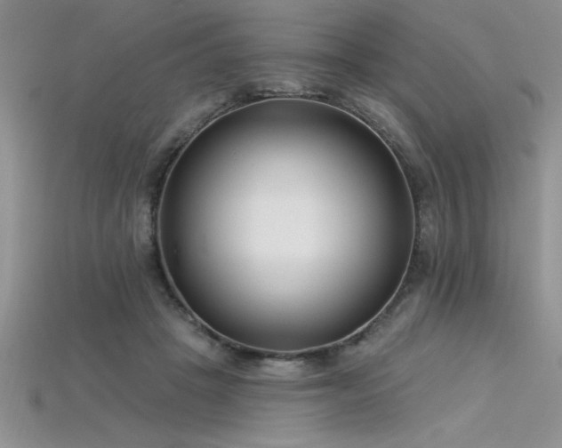 X0000115830457200911131509