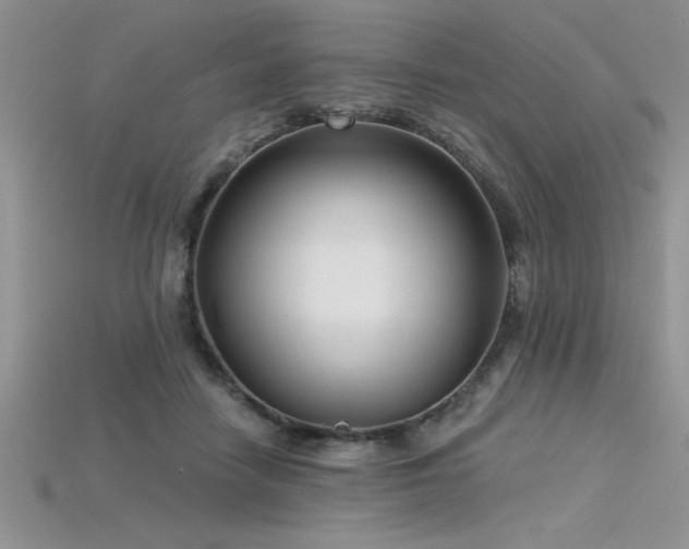 X0000115830458200911131509