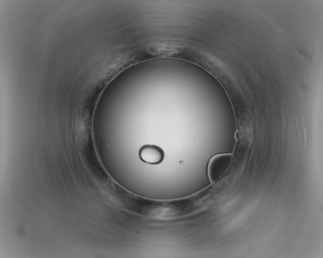 X0000115830460200911131509