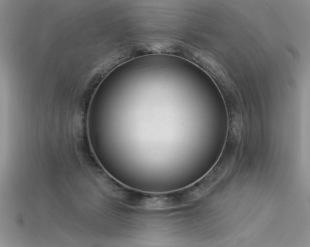 X0000115830461200911131509