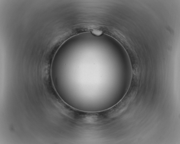 X0000115830462200911131509