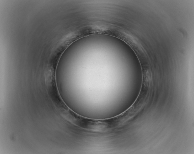 X0000115830463200911131509