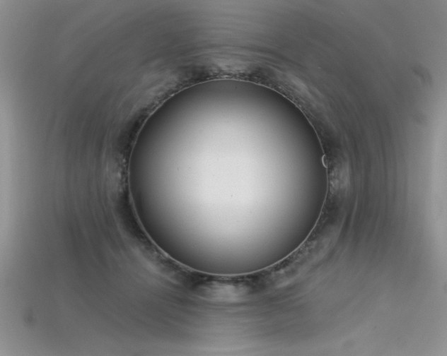 X0000115830464200911131509