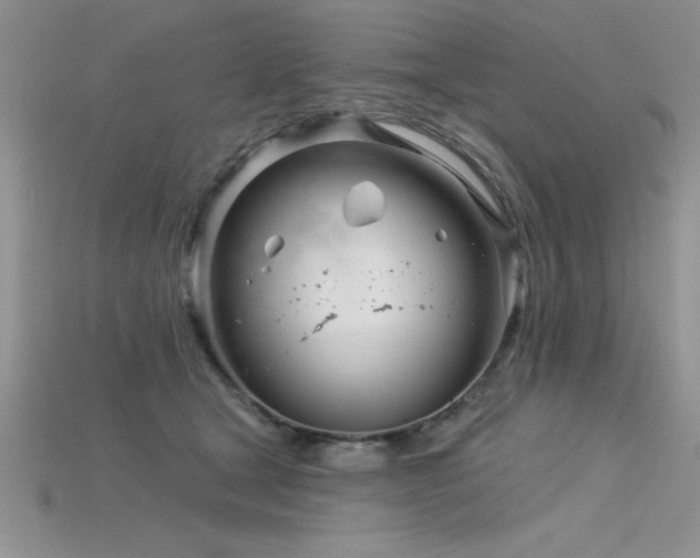 X0000115830465200911131509