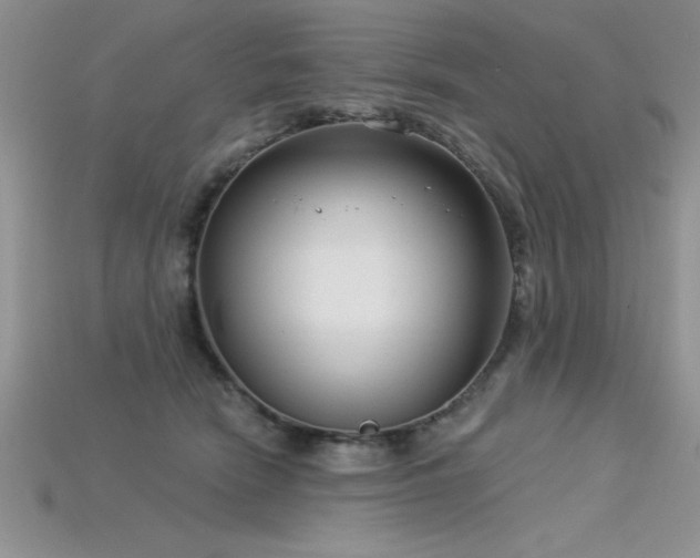 X0000115830466200911131509