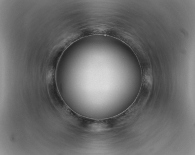 X0000115830468200911131509