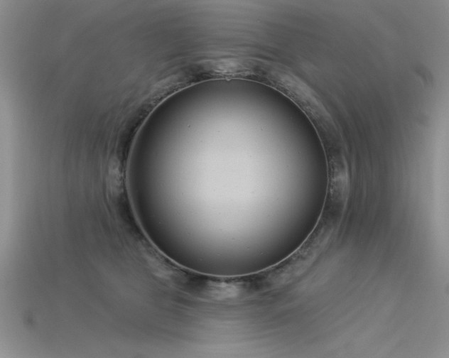 X0000115830469200911131509