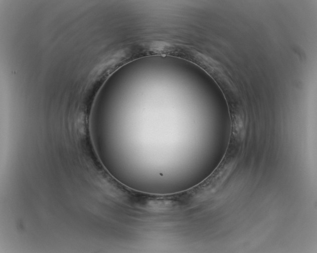 X0000115830470200911131509