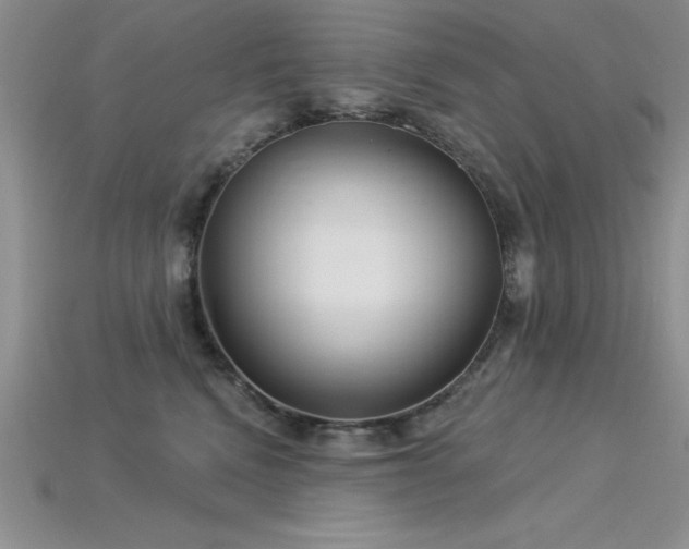 X0000115830472200911131509