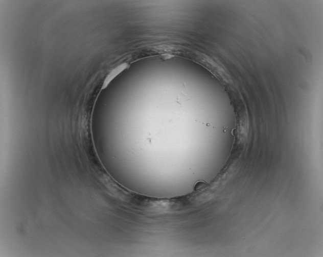 X0000115830473200911131509