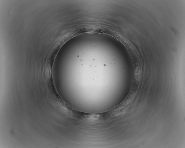 X0000115830474200911131509