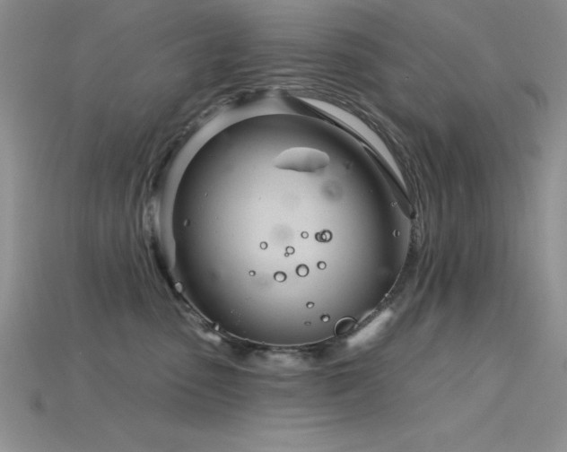 X0000115830475200911131509