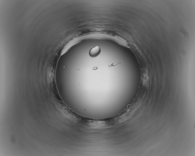 X0000115830476200911131509