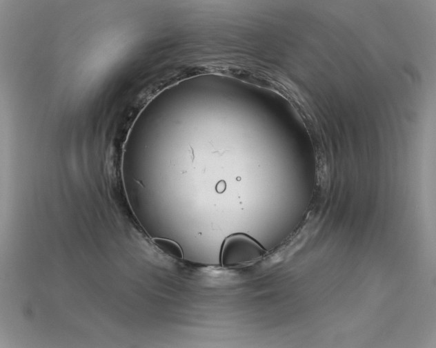 X0000115830477200911131509