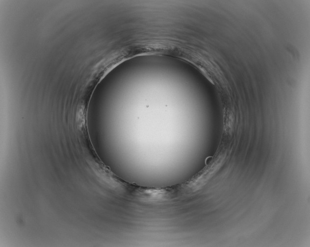 X0000115830478200911131509